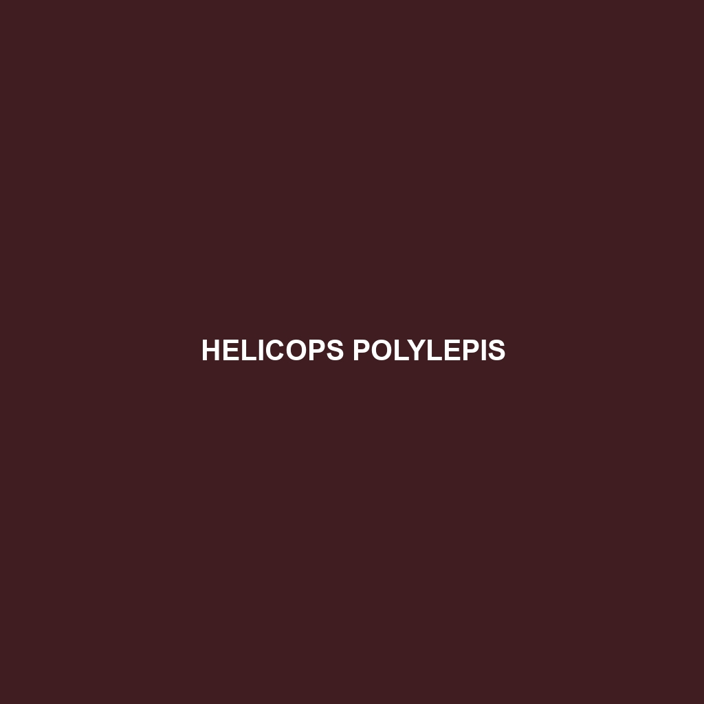 Helicops polylepis