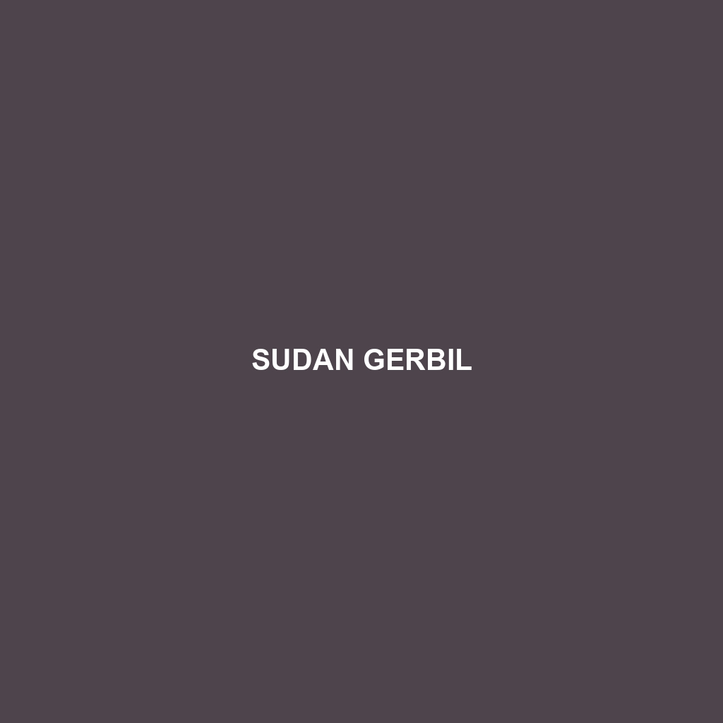 Sudan Gerbil