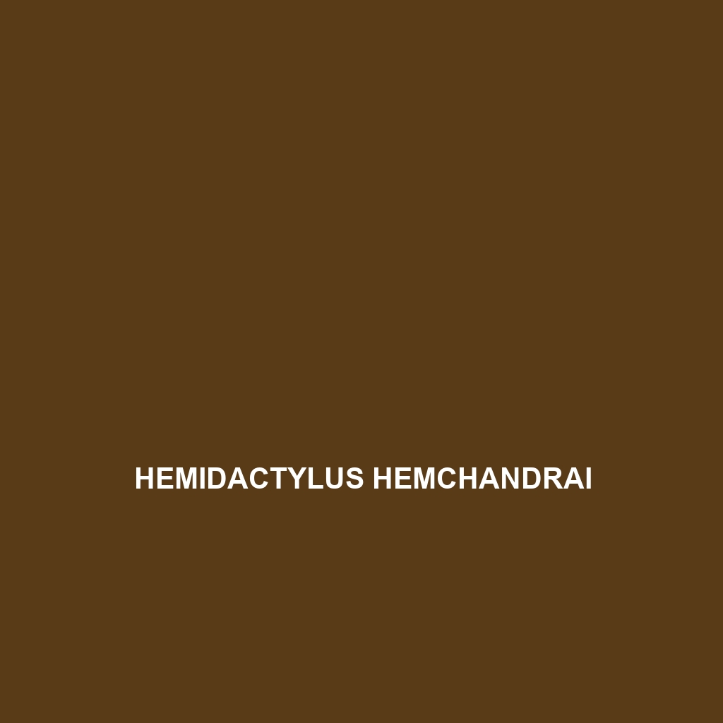 Hemidactylus hemchandrai