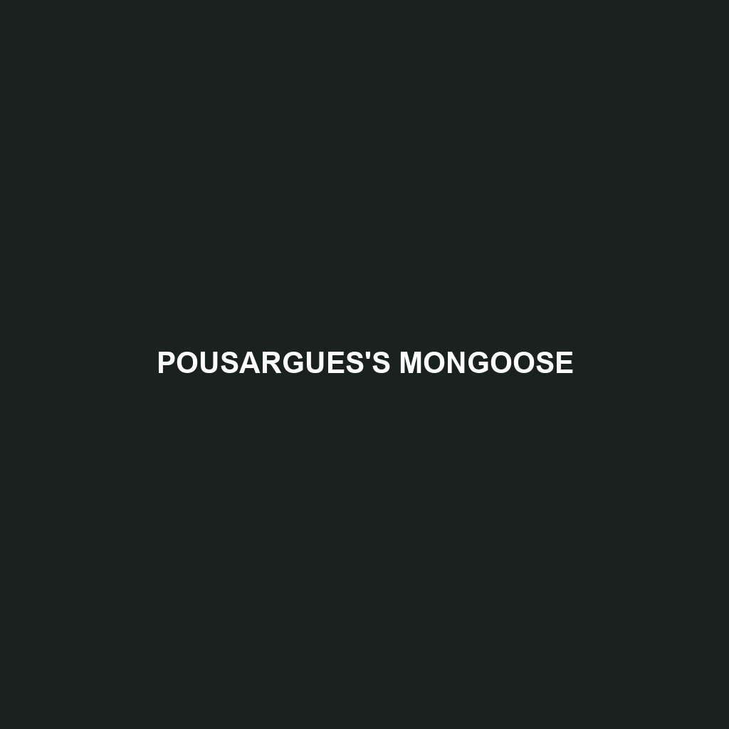 Pousargues's Mongoose