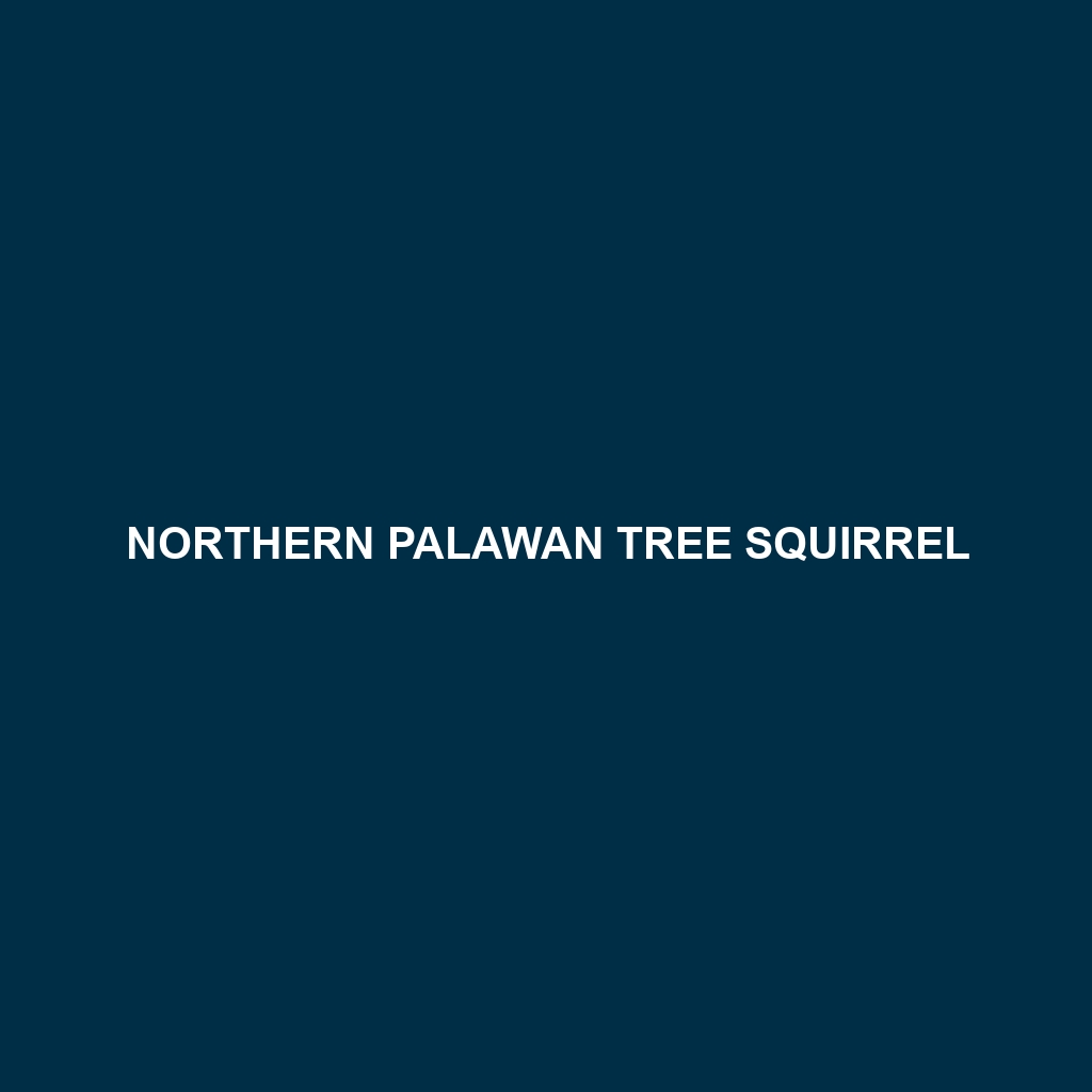 Northern Palawan Tree Squirrel