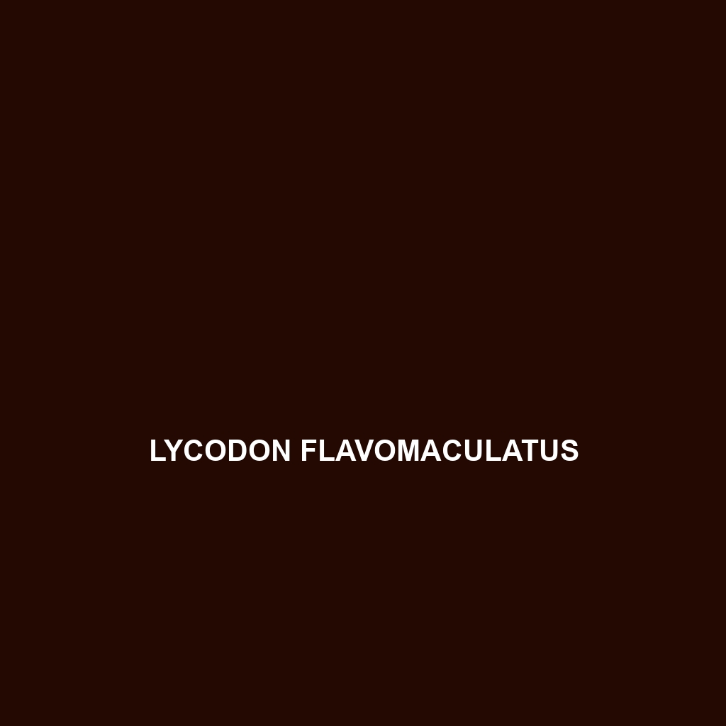 Lycodon flavomaculatus