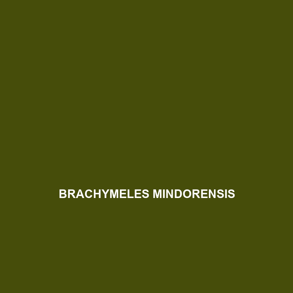 Brachymeles mindorensis