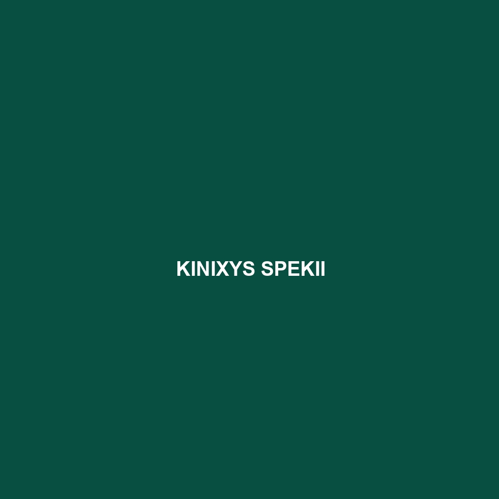 Kinixys spekii