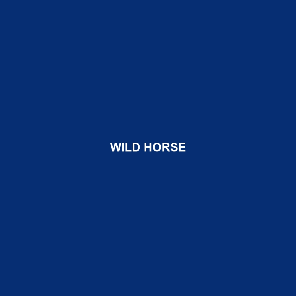 Wild Horse