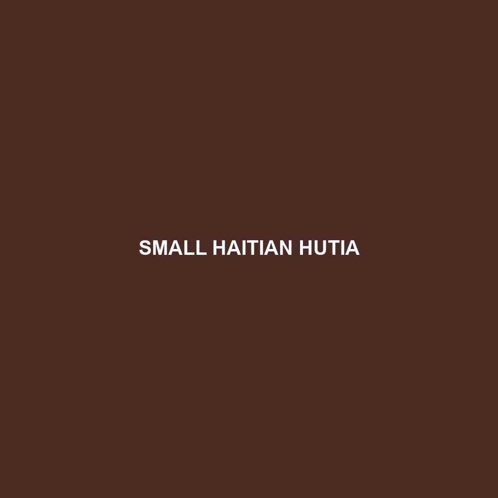 Small Haitian Hutia