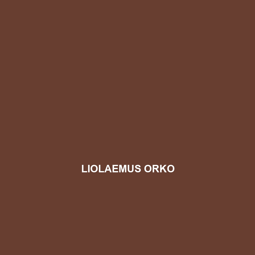 Liolaemus orko