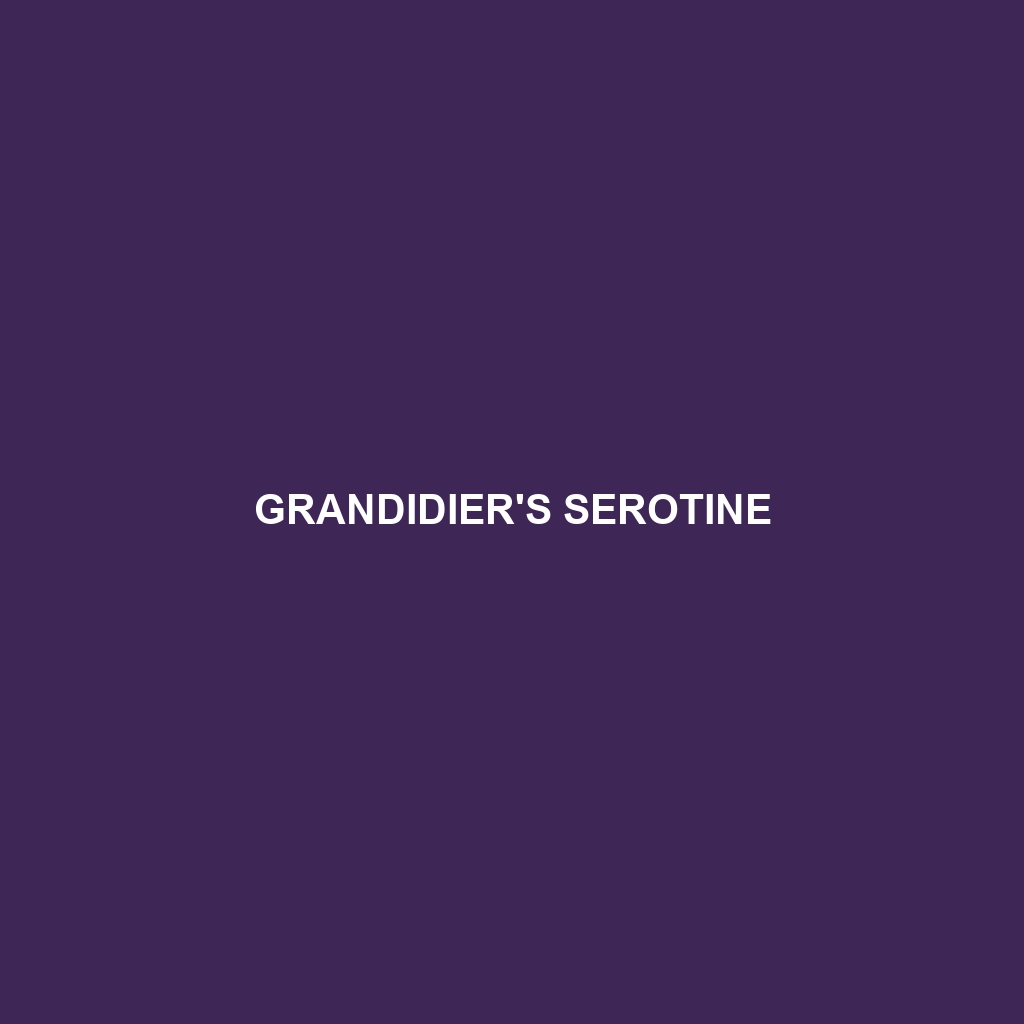 Grandidier's Serotine