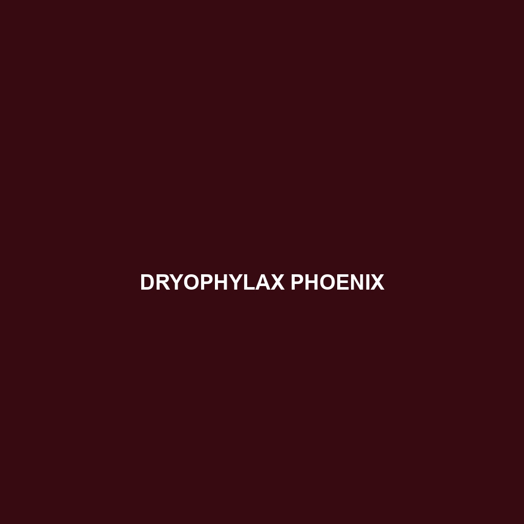 Dryophylax phoenix