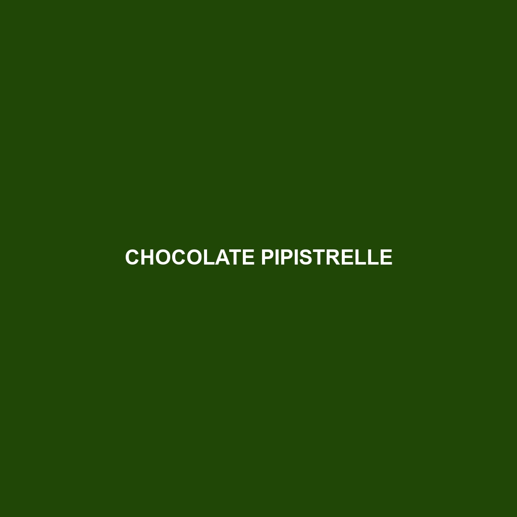 Chocolate Pipistrelle