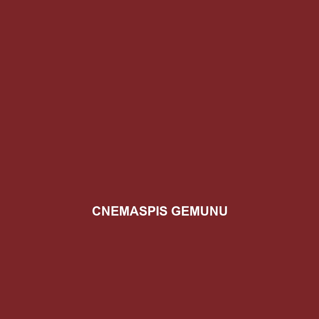 Cnemaspis gemunu