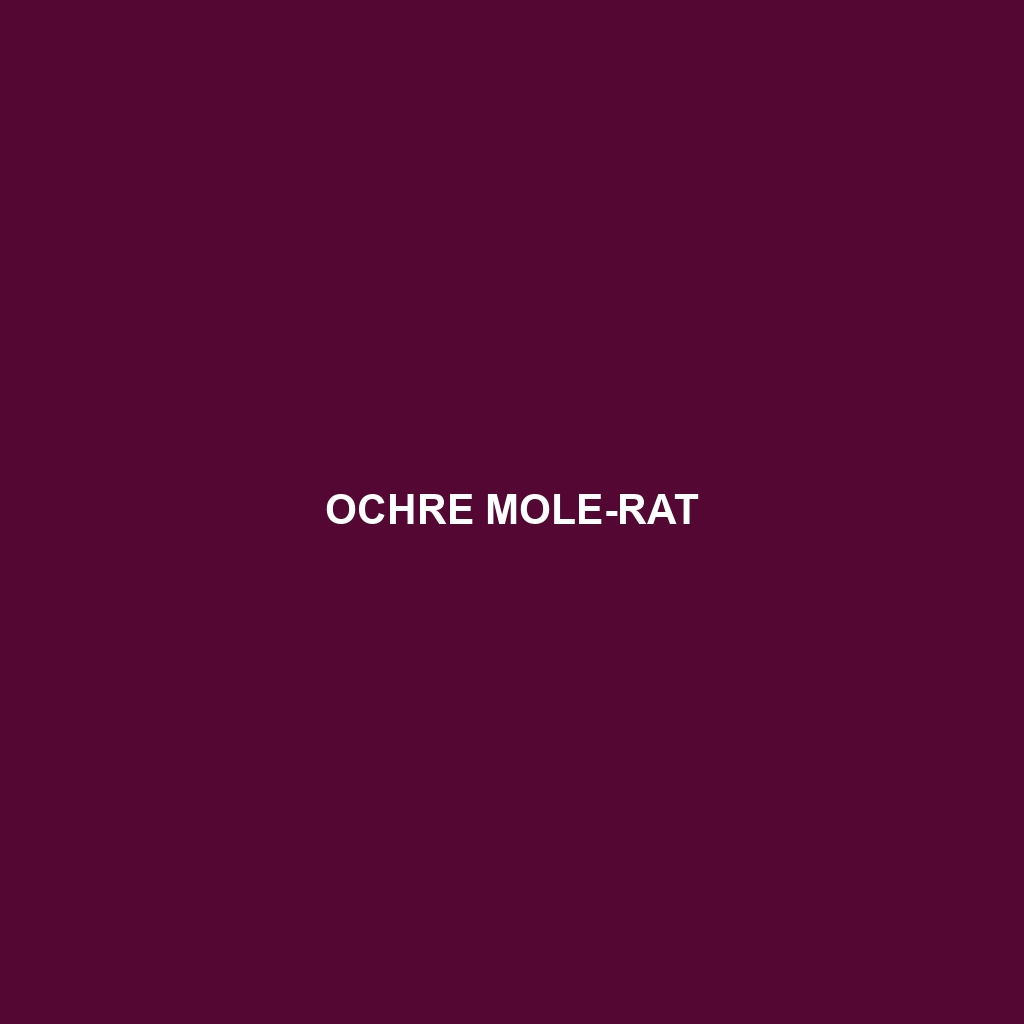 Ochre Mole-rat