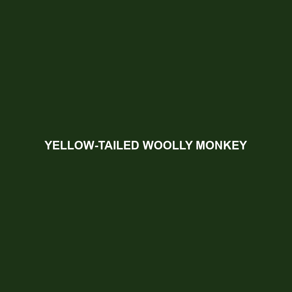 Yellow-tailed Woolly Monkey