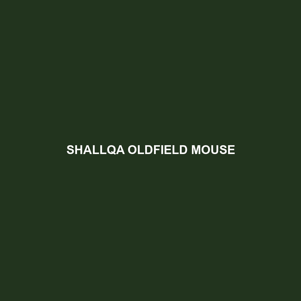 Shallqa Oldfield Mouse