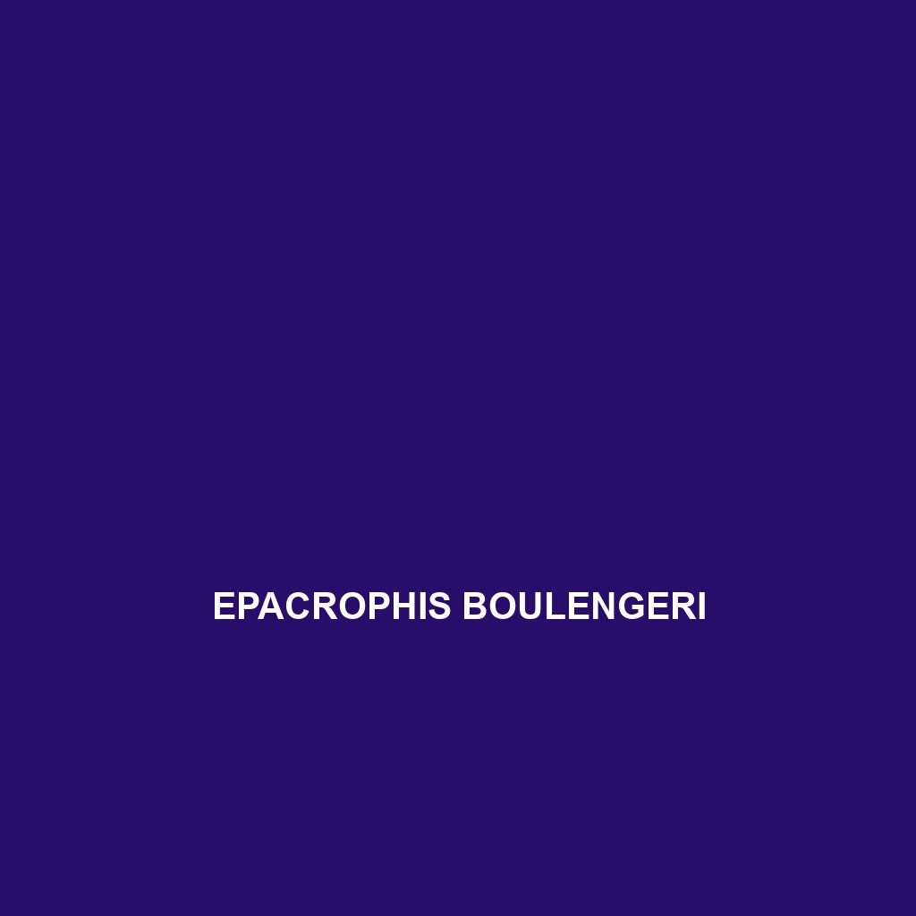 Epacrophis boulengeri