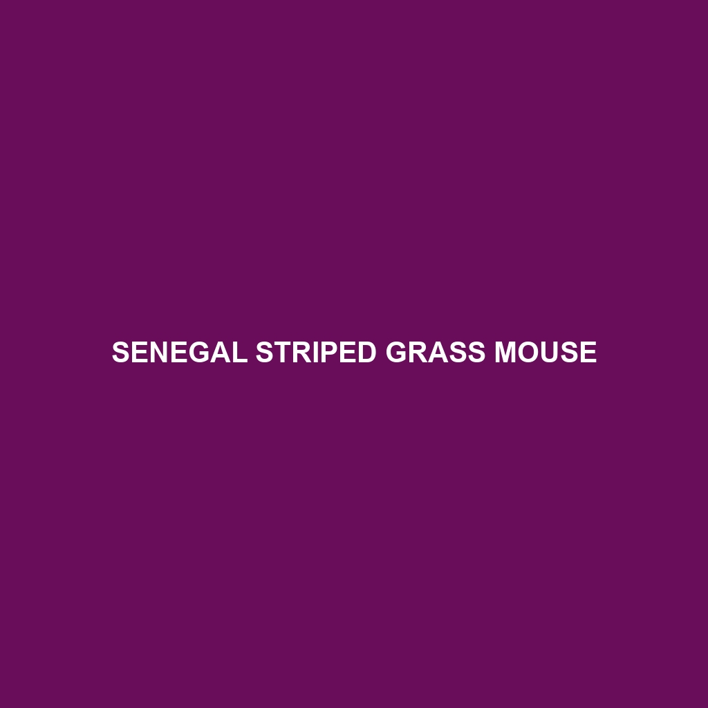 Senegal Striped Grass Mouse