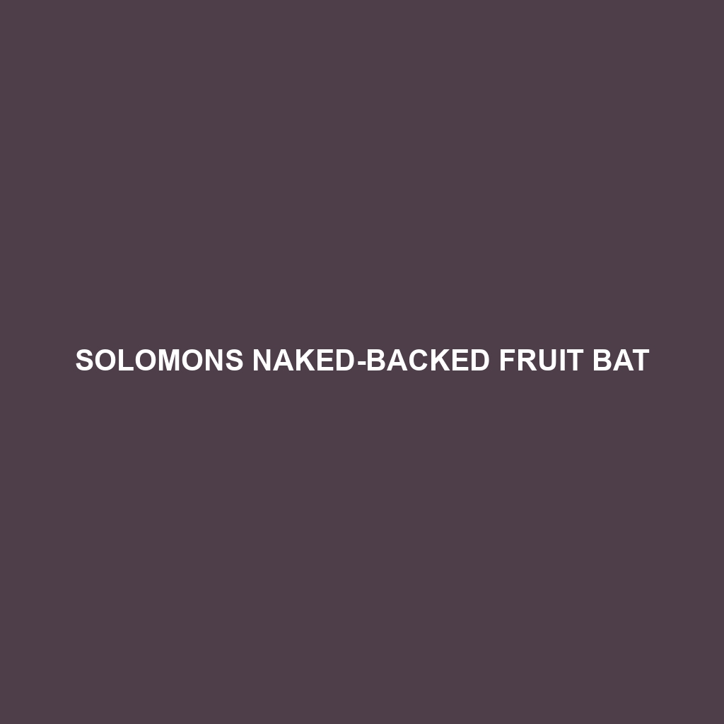 Solomons Naked-backed Fruit Bat