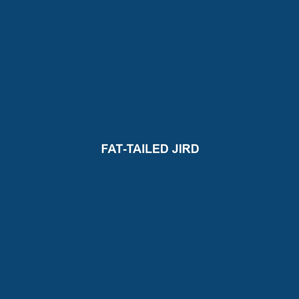 Fat-tailed Jird