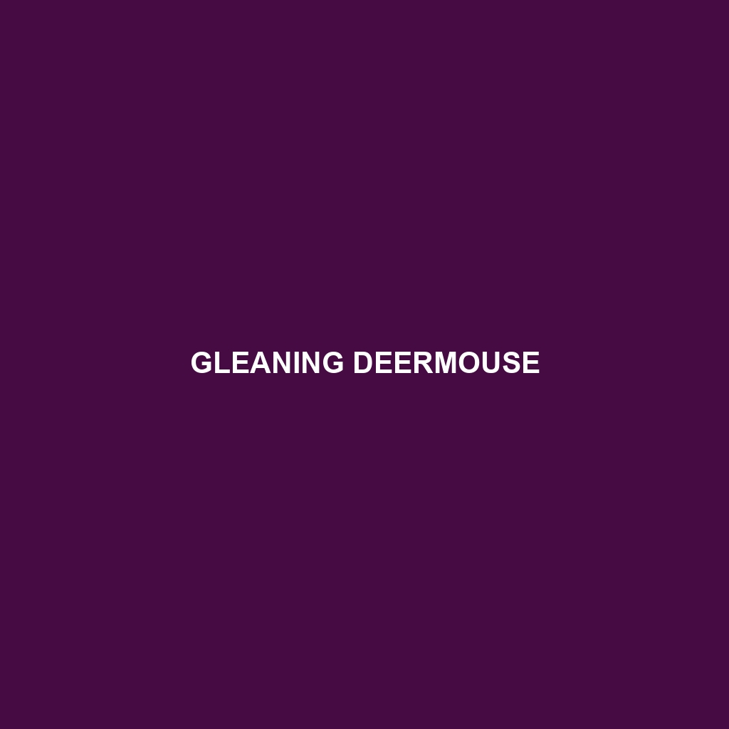 Gleaning Deermouse