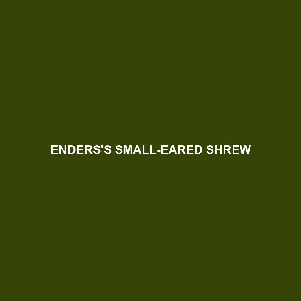 Enders's Small-eared Shrew