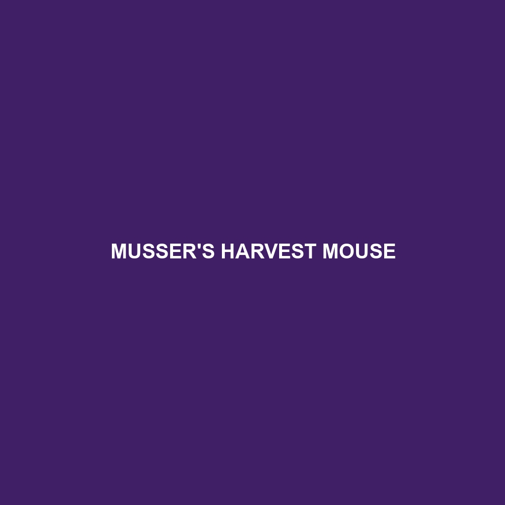 Musser's Harvest Mouse