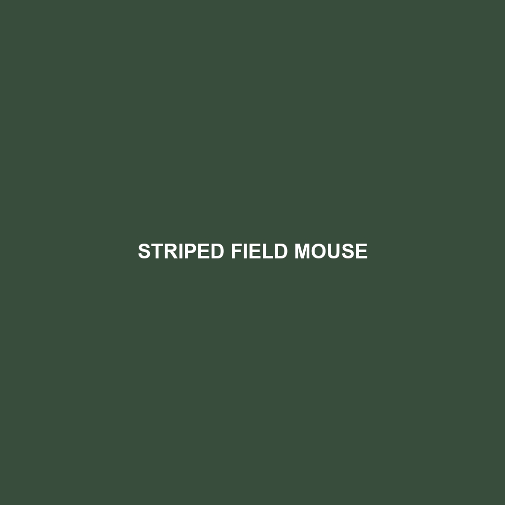 Striped Field Mouse