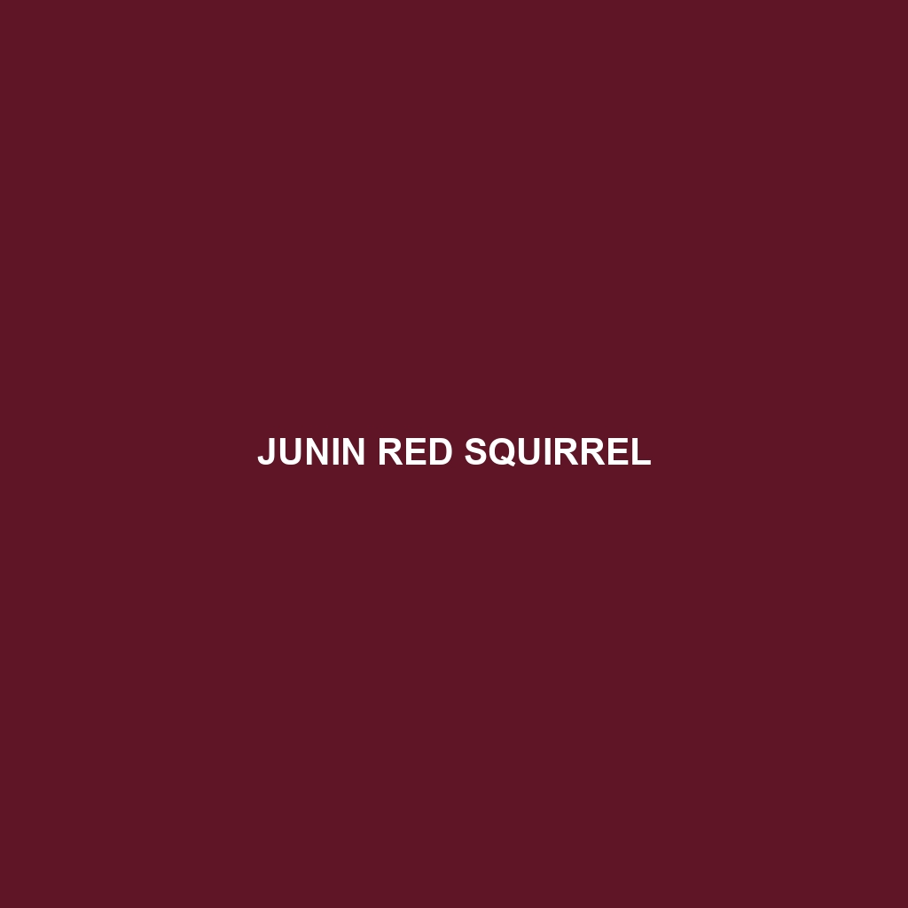 Junin Red Squirrel