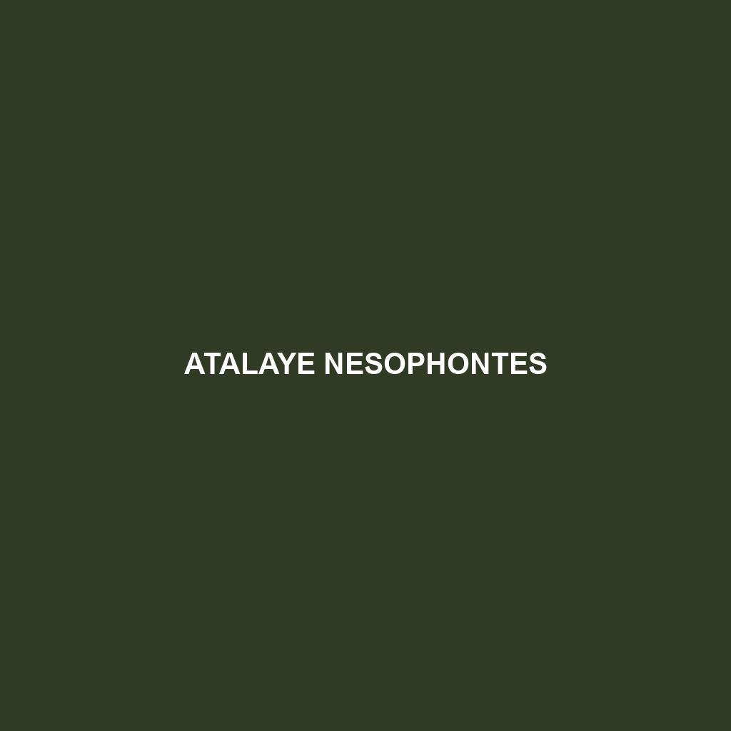 Atalaye Nesophontes