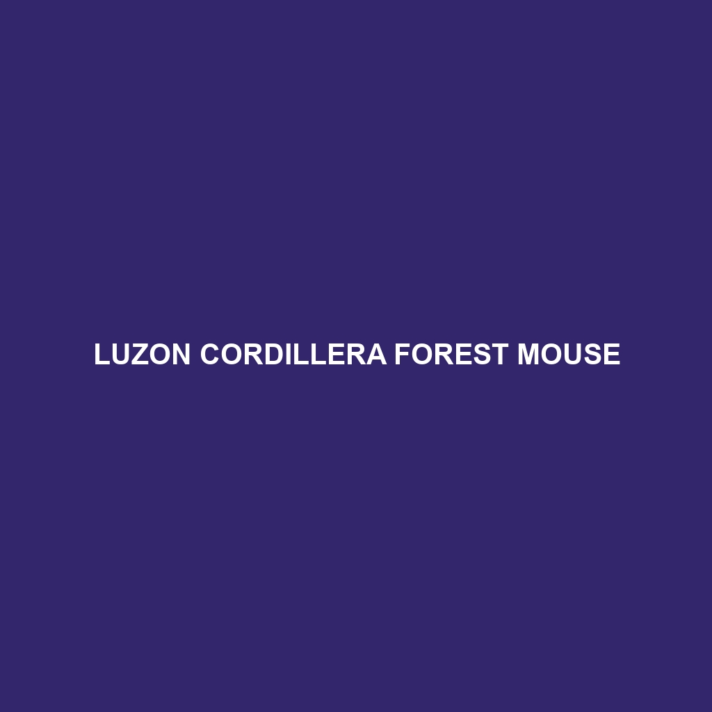 Luzon Cordillera Forest Mouse