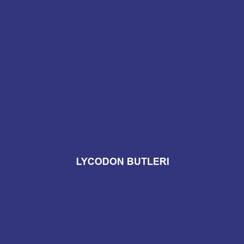 Lycodon butleri