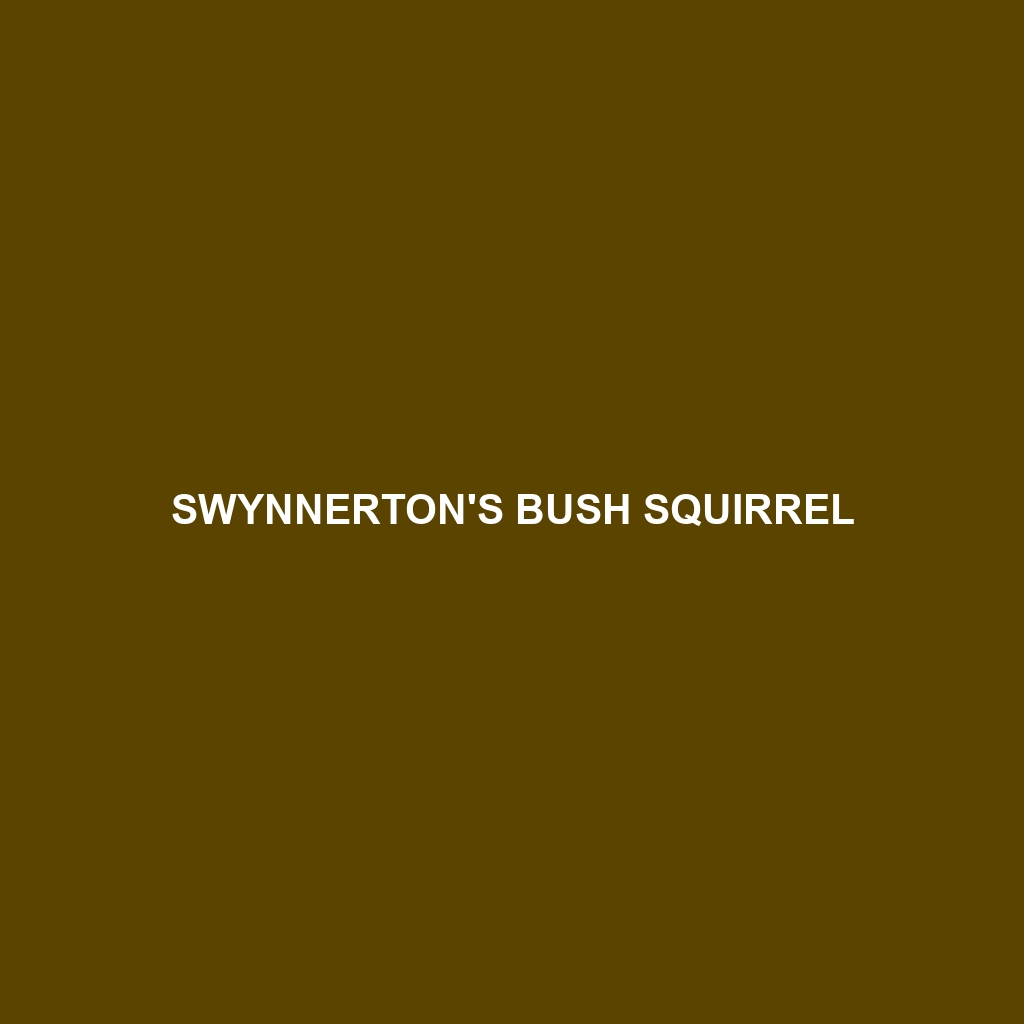 Swynnerton's Bush Squirrel