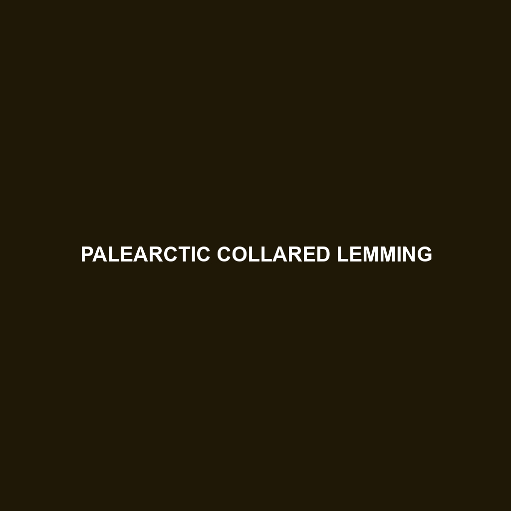 Palearctic Collared Lemming