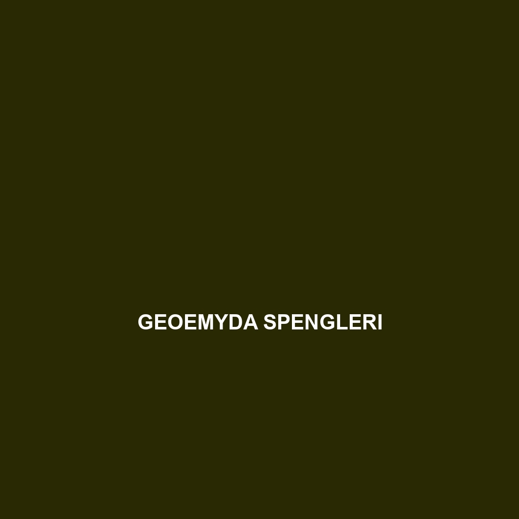 Geoemyda spengleri