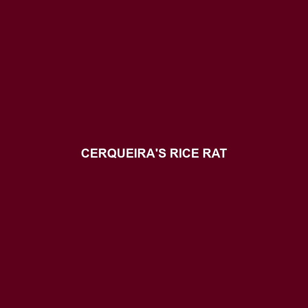 Cerqueira's Rice Rat