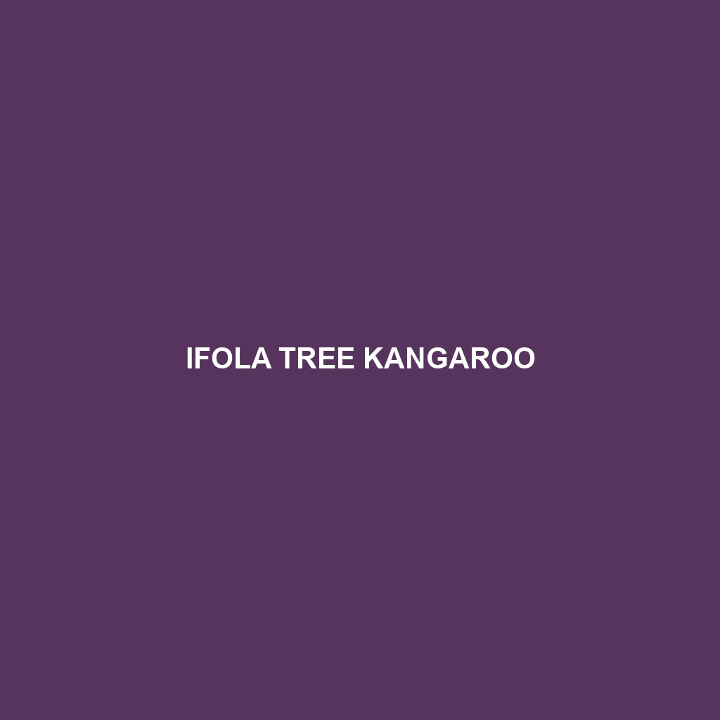 Ifola Tree Kangaroo