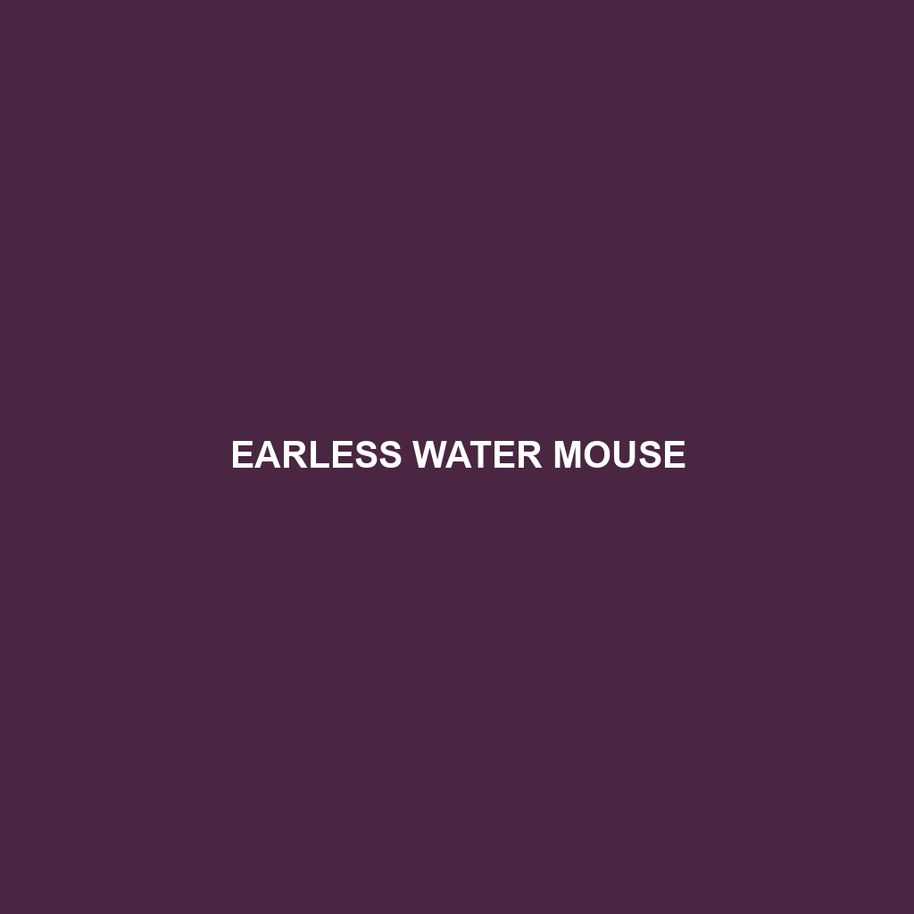 Earless Water Mouse