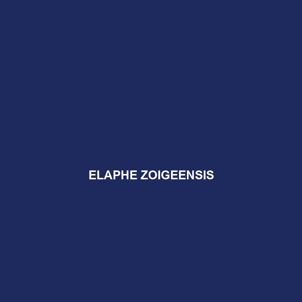 Elaphe zoigeensis