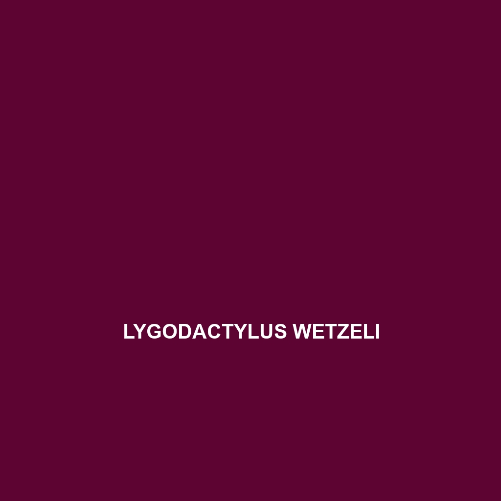 Lygodactylus wetzeli