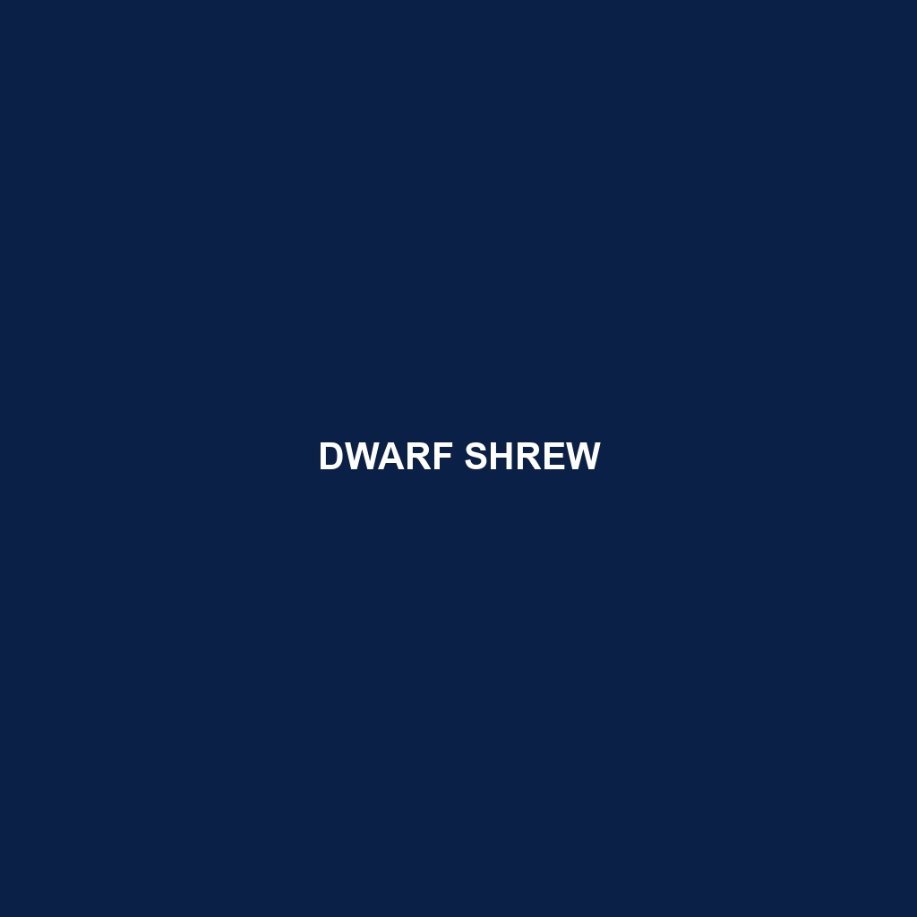 Dwarf Shrew