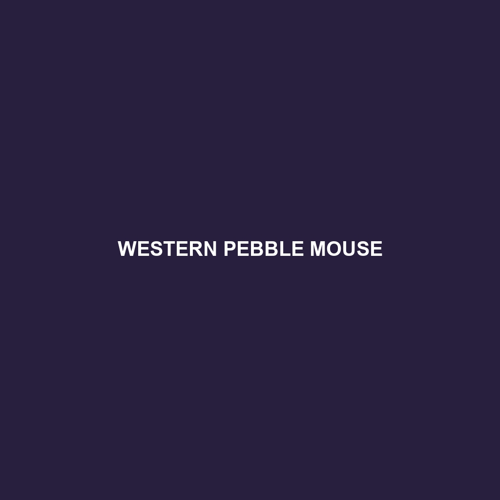 Western Pebble Mouse