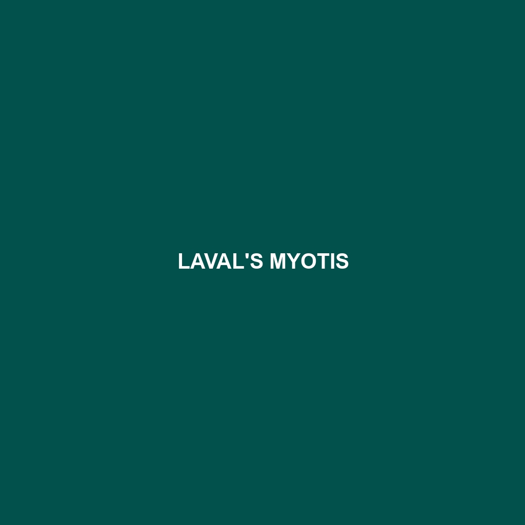 LaVal's Myotis