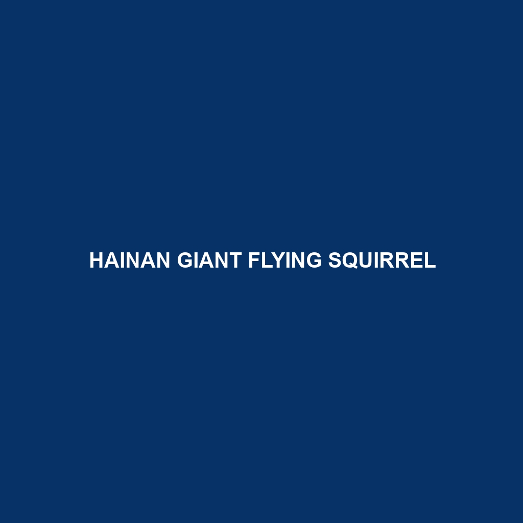 Hainan Giant Flying Squirrel