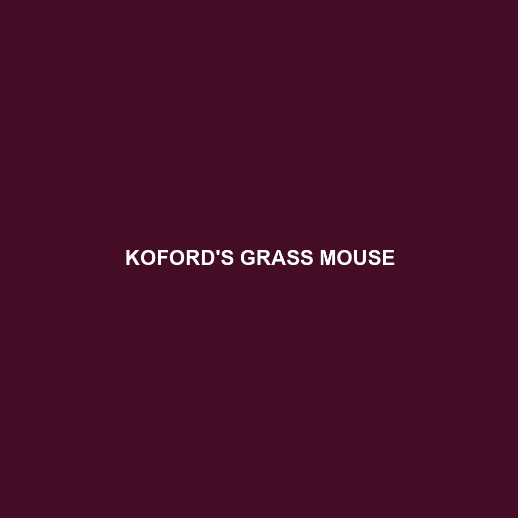 Koford's Grass Mouse