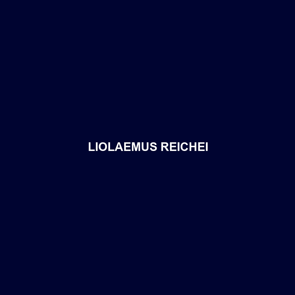 Liolaemus reichei