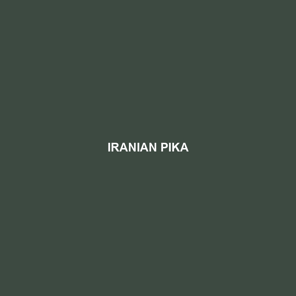 Iranian Pika