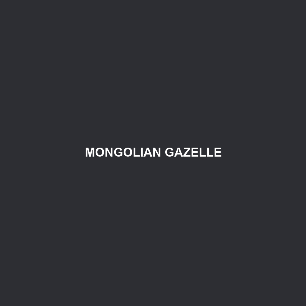 Mongolian Gazelle