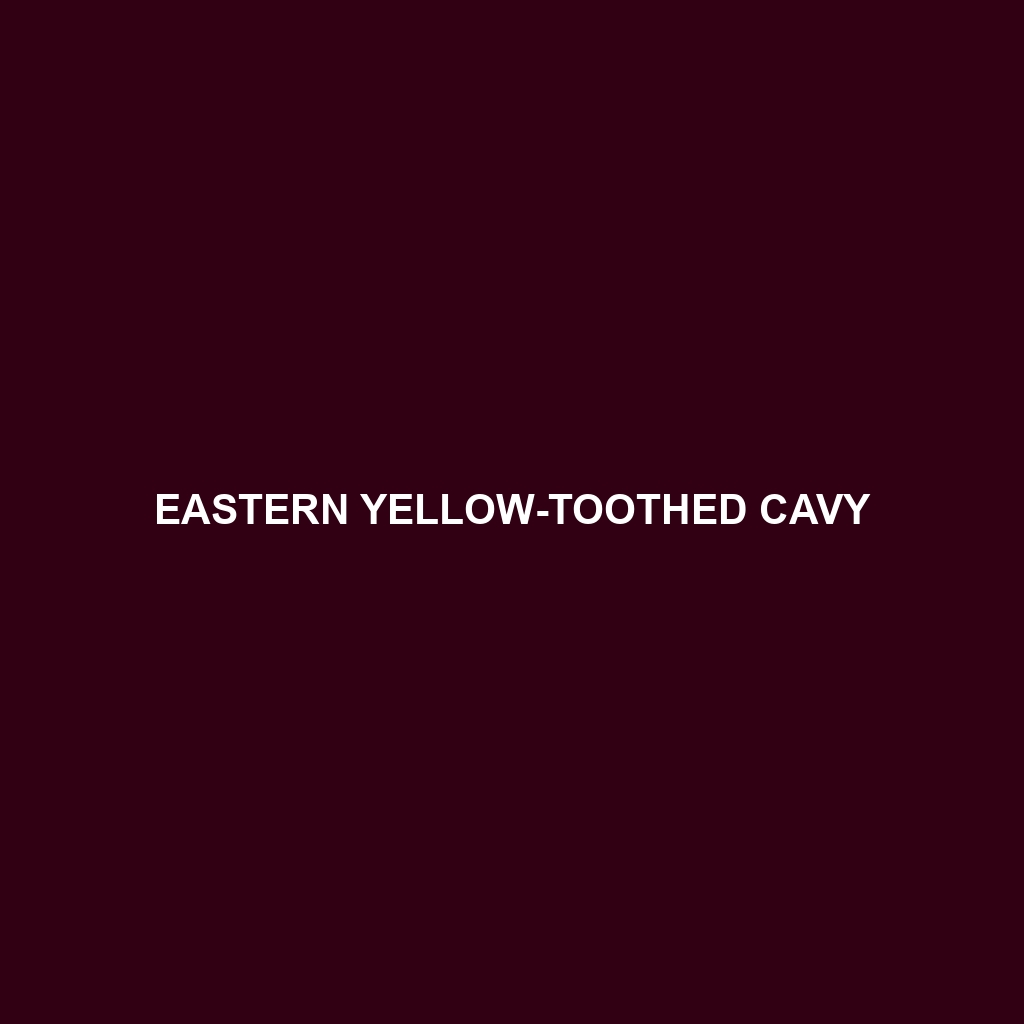 Eastern Yellow-toothed Cavy