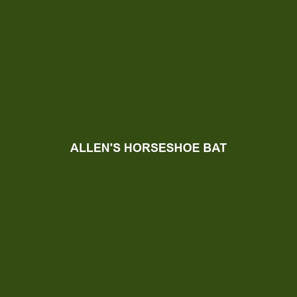 Allen's Horseshoe Bat