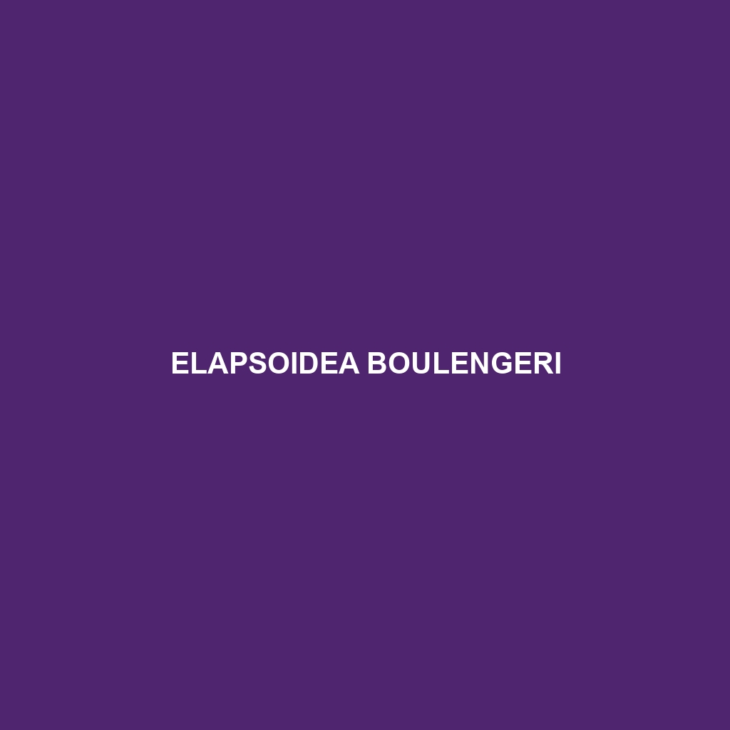 Elapsoidea boulengeri