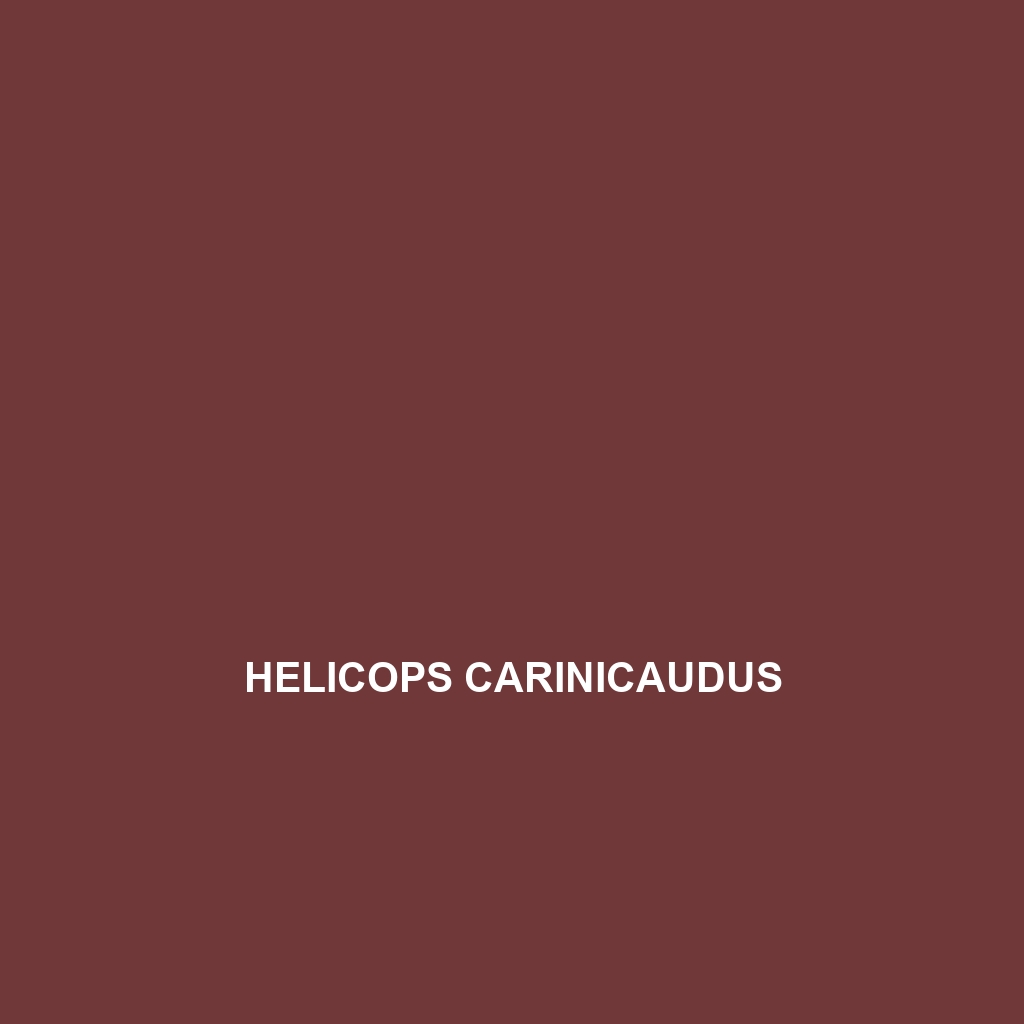 Helicops carinicaudus